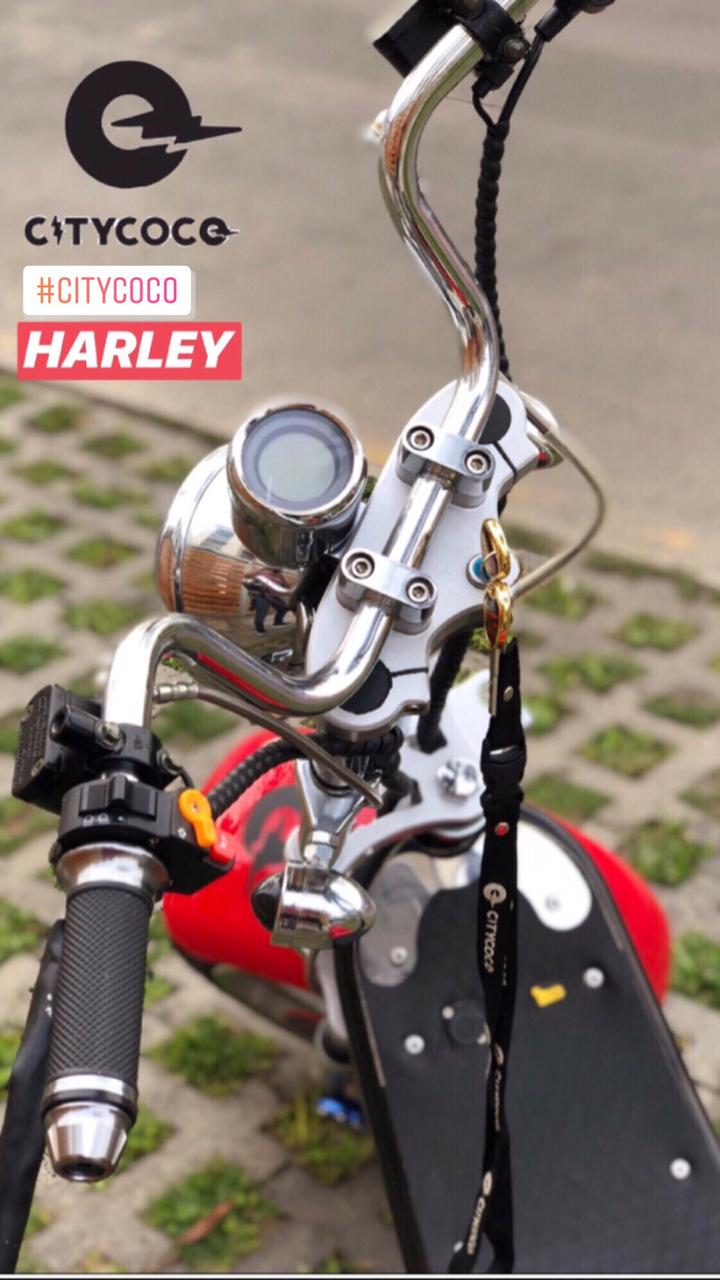 Harley - Imagen 4