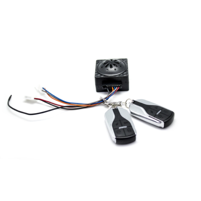 kit-alarma-juego-llaves-citycoco.jpg